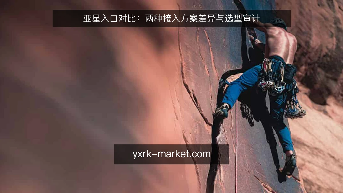 亚星入口对比：两种接入方案差异与选型审计