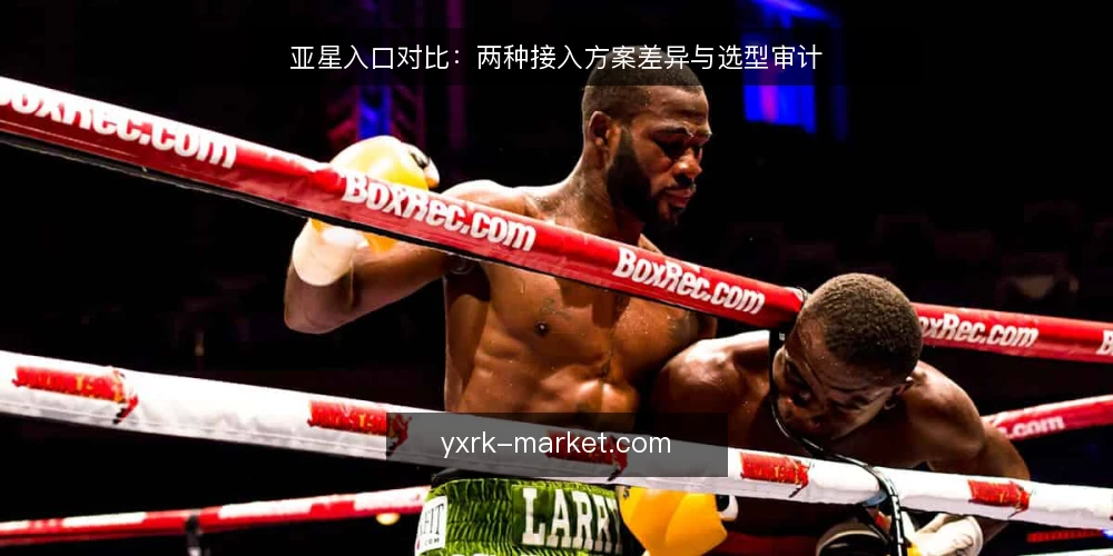亚星入口对比：两种接入方案差异与选型审计 — 为什么现在需要审计接入方案 配图
