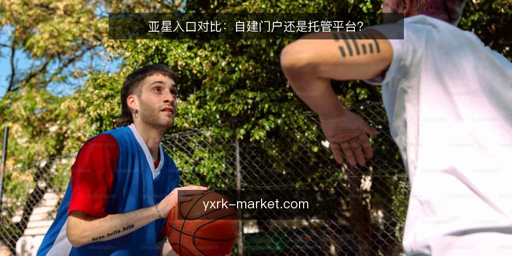 亚星入口对比:自建门户还是托管平台? — 为什么现在要审计入口方案 配图