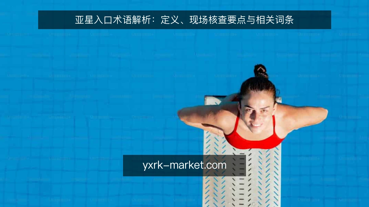 亚星入口术语解析：定义、现场核查要点与相关词条