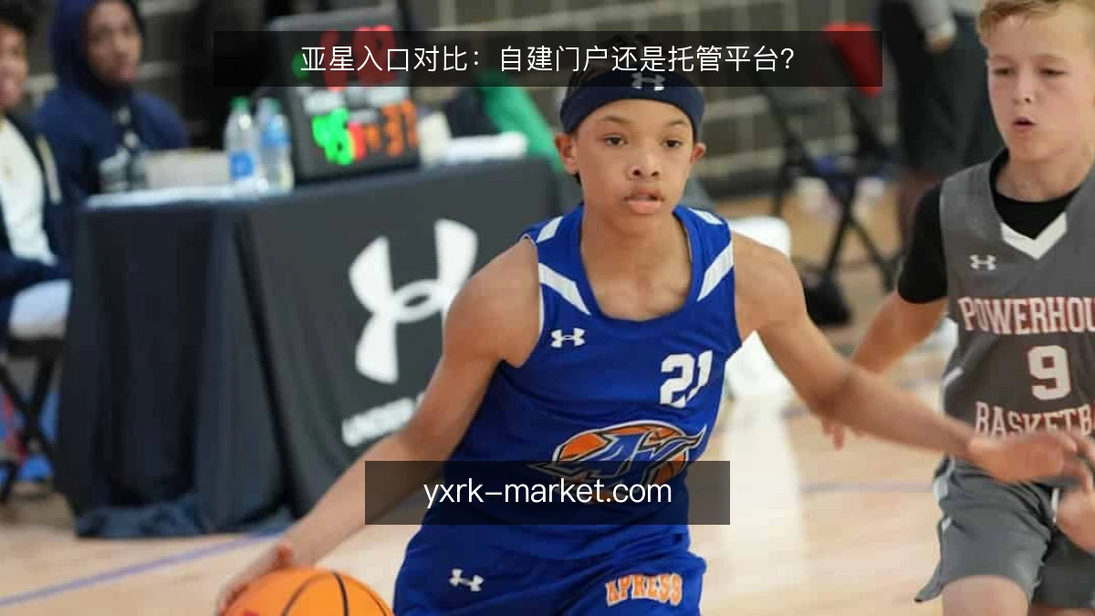 亚星入口对比:自建门户还是托管平台?