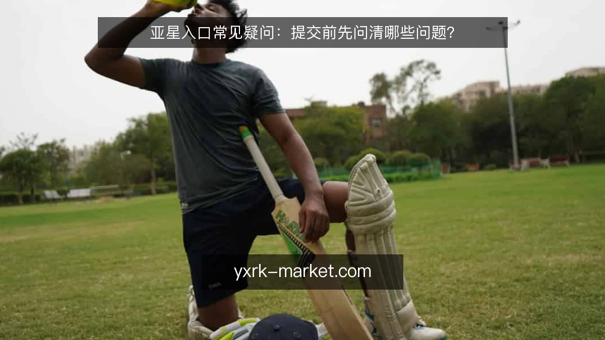 亚星入口常见疑问:提交前先问清哪些问题?