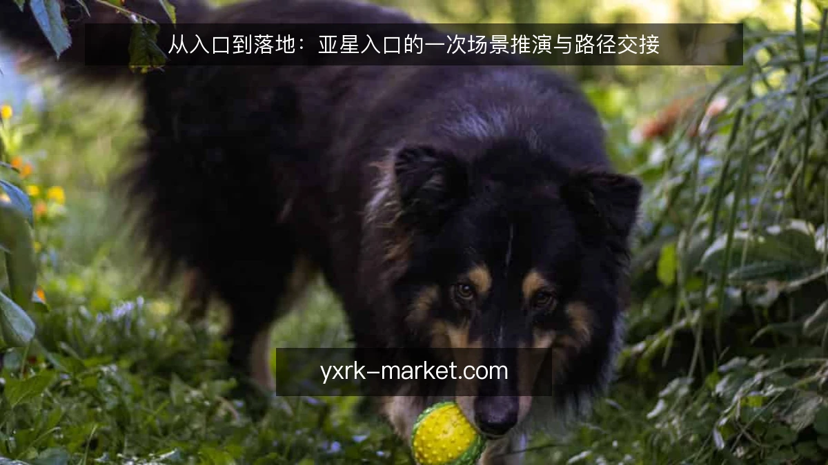 从入口到落地:亚星入口的一次场景推演与路径交接